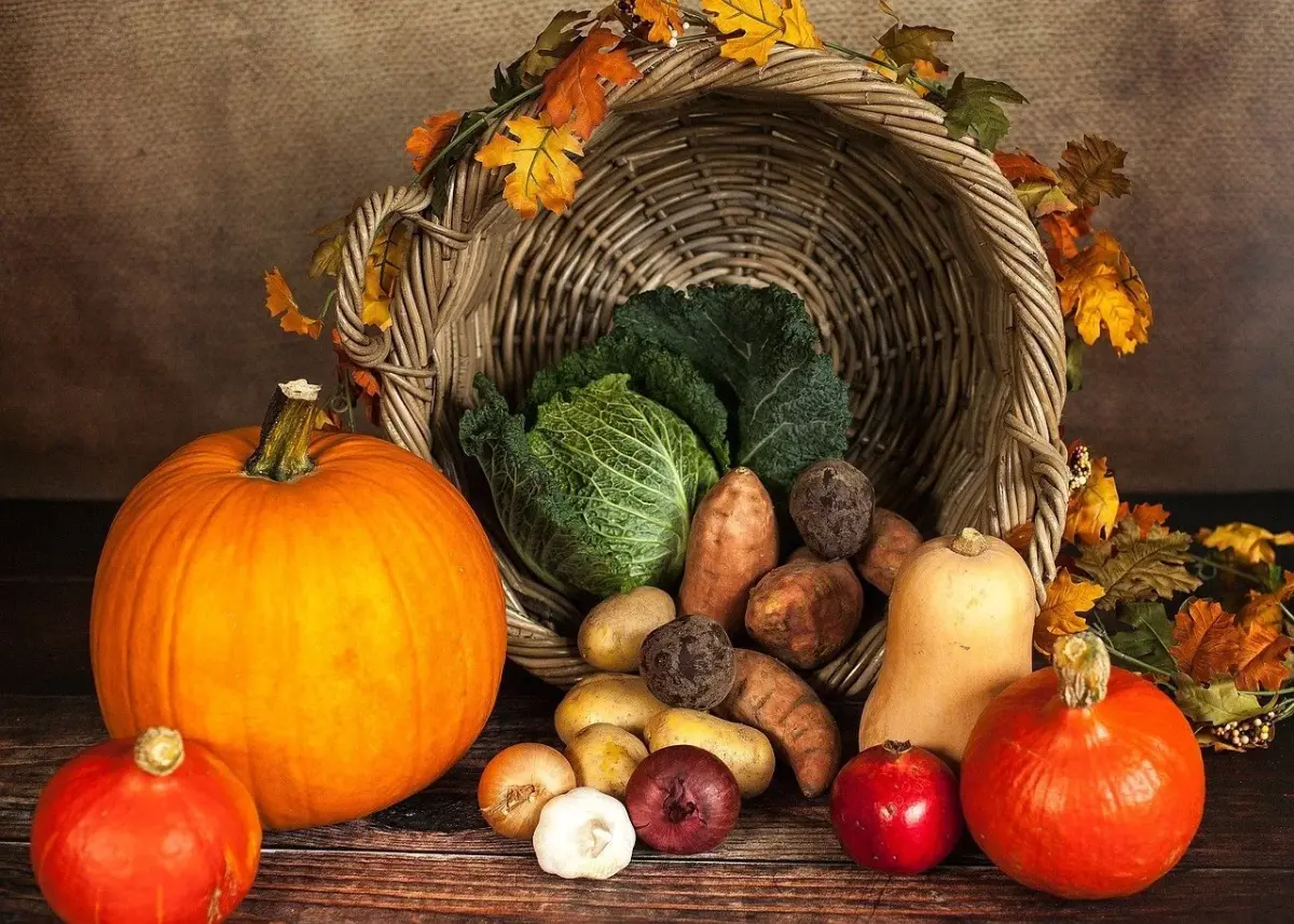 Bild zu Oktober 2020 | Gesund durch den Herbst und Winter 2020