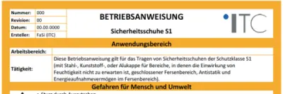 Bild zu Betriebsanweisung – Sicherheitsschuhe S1