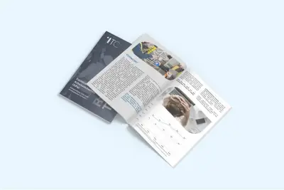SiFa – Notwendiges Übel oder strategischer Vorteil? – Download