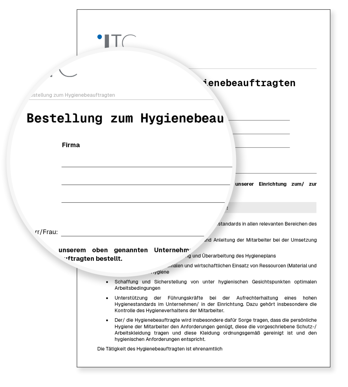 Vorschau: Vorlage Bestellung zum Hygienebeauftragten