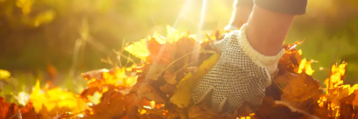 2026 Oktober | Gartenarbeit im Herbst