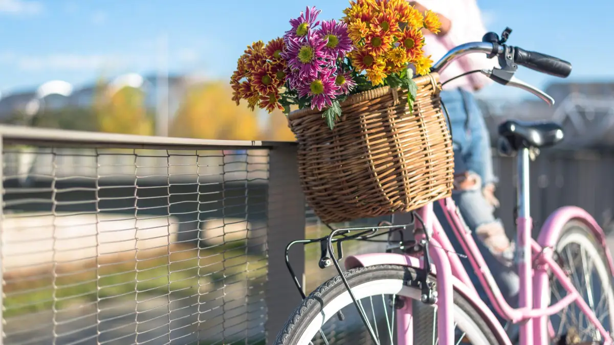 ITC Thema des Monats bild für 2025 August | Sicher unterwegs mit dem Fahrrad