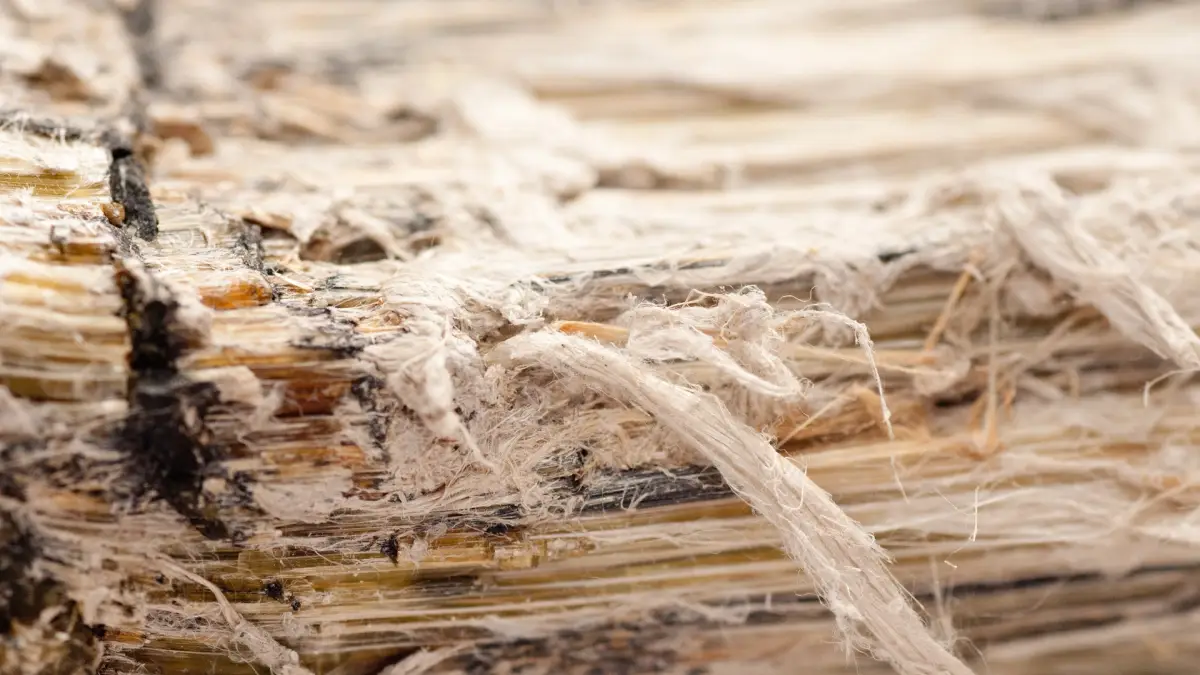 Asbestarbeiten - Sachkunde TRGS 519 (Anlage 4c - Erstschulung) – Kommunen, Bau- Betriebshöfe und Bauunternehmen bei ITC Graf